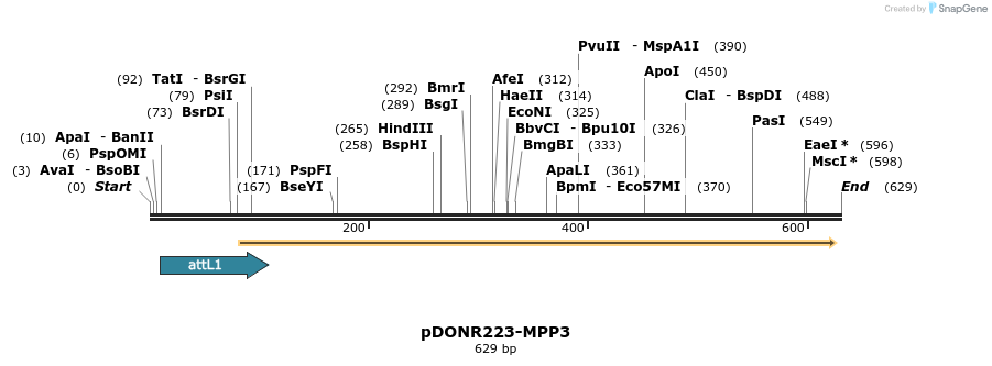 29176_map