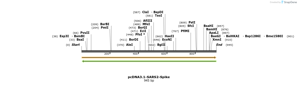 291761_map