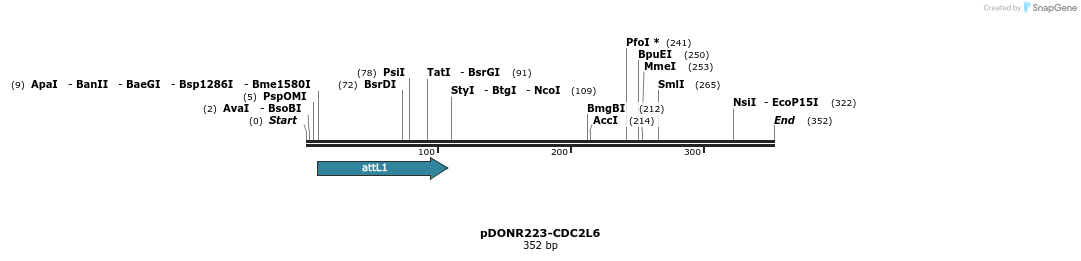 29178_map