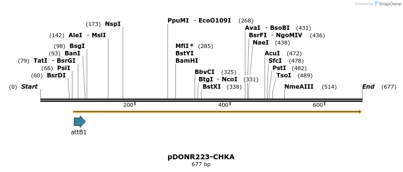 29179_map