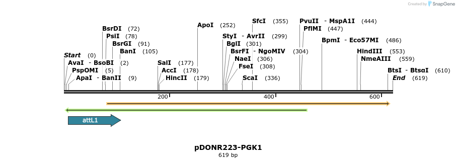 29180_map