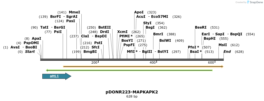 29181_map
