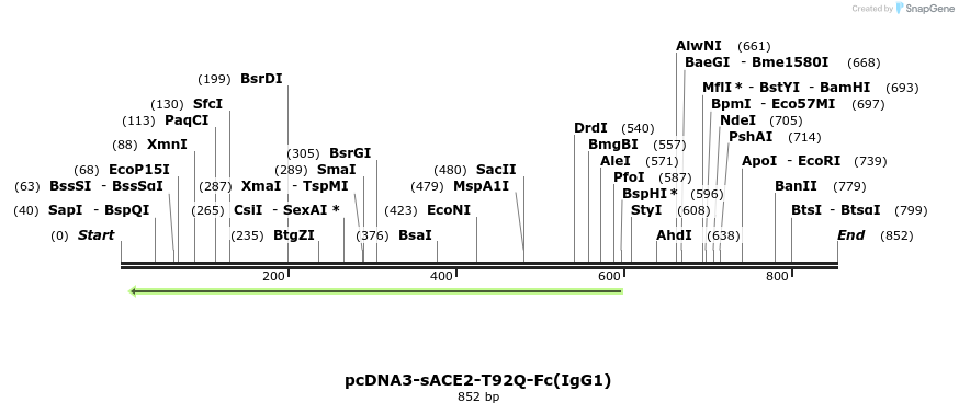 291839_map
