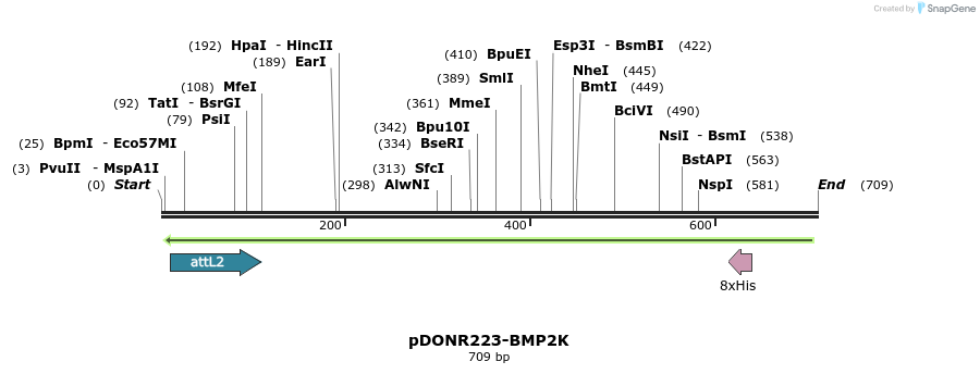 29184_map