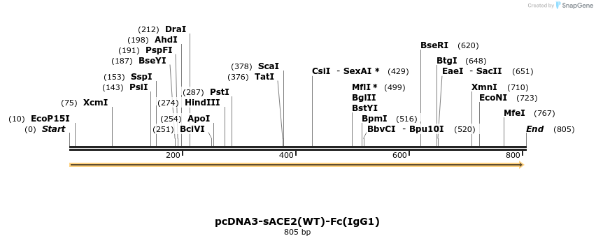 291841_map