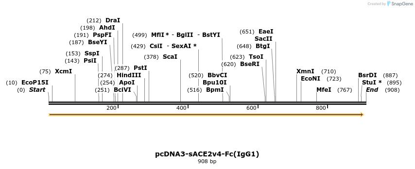 291843_map