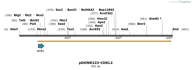 29186_map