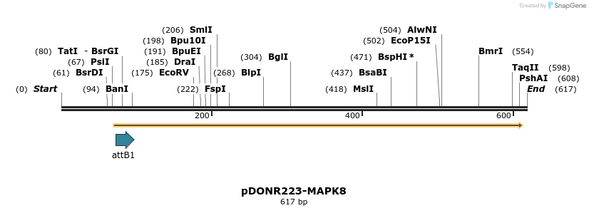 29187_map