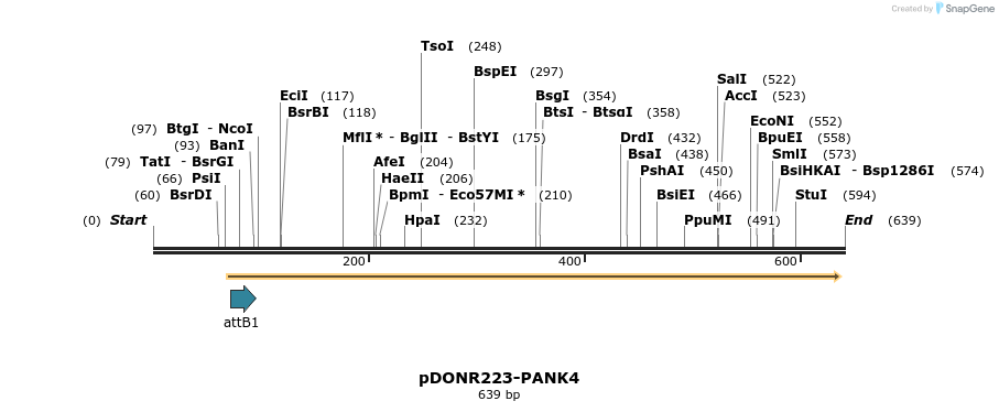 29188_map