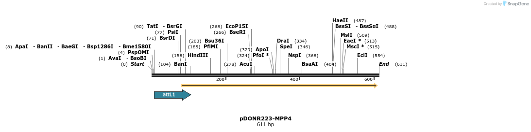 29190_map