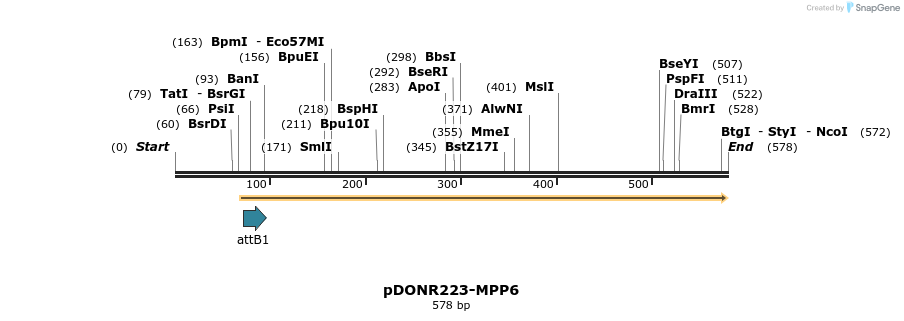 29191_map