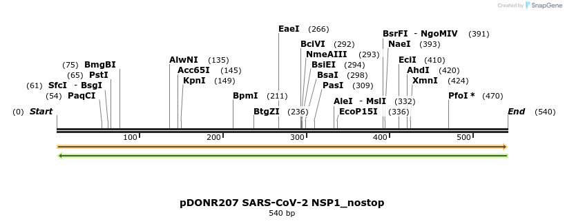 291911_map