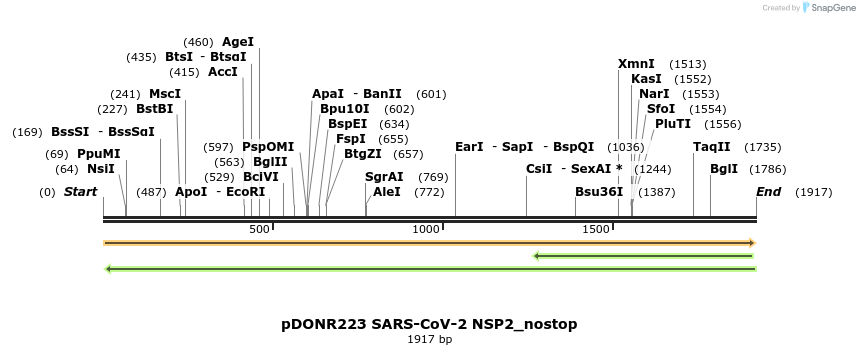 291912_map