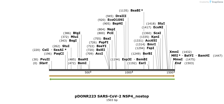 291914_map