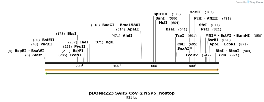 291915_map