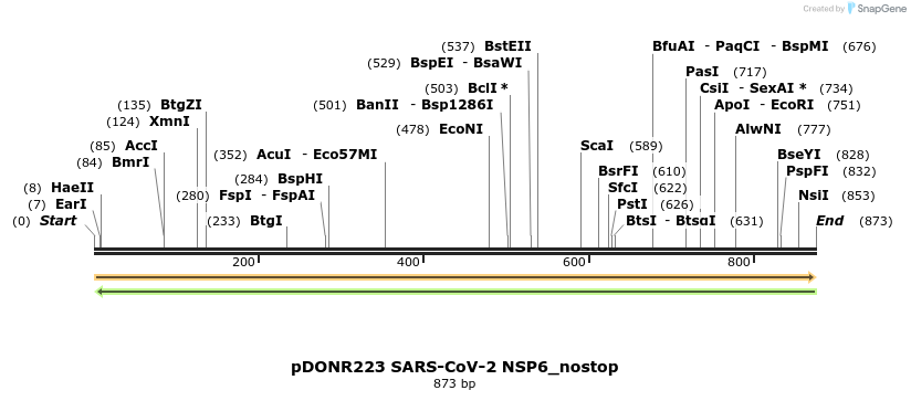 291916_map