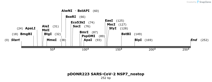 291917_map