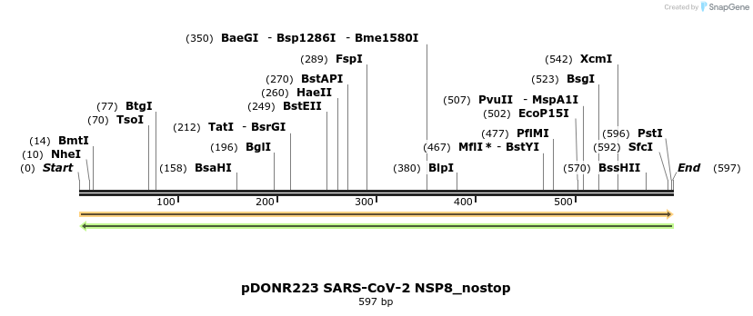 291918_map