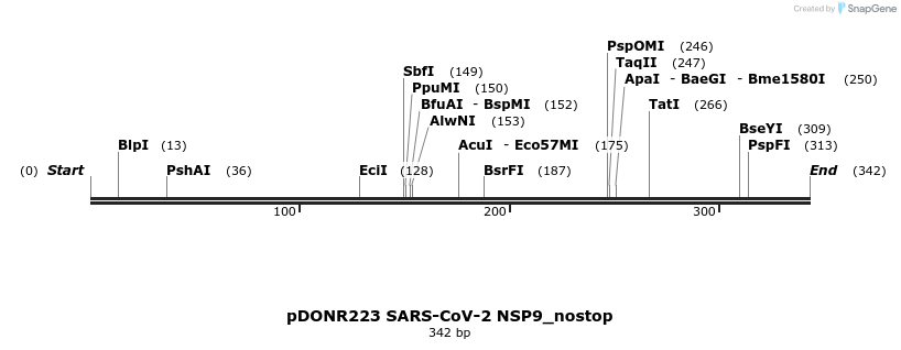 291919_map