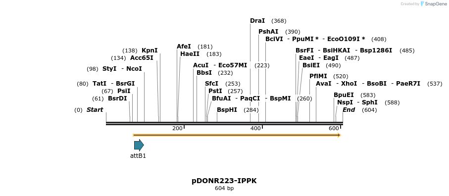 29192_map