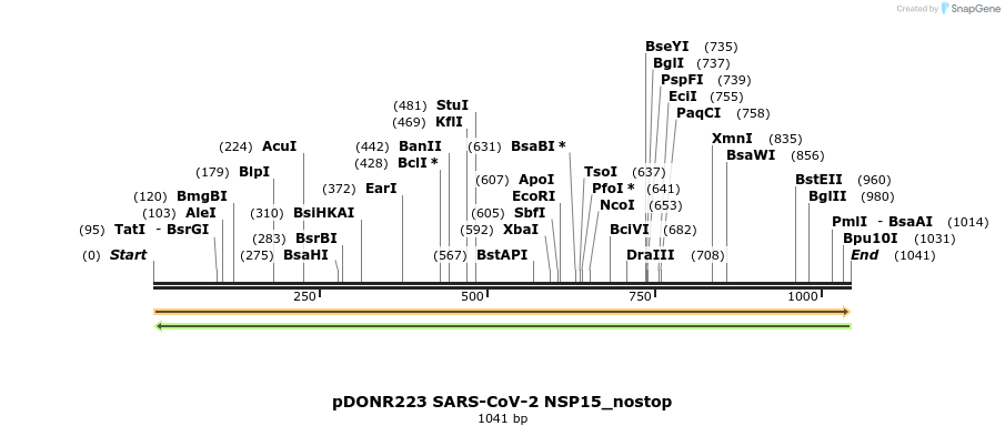 291924_map
