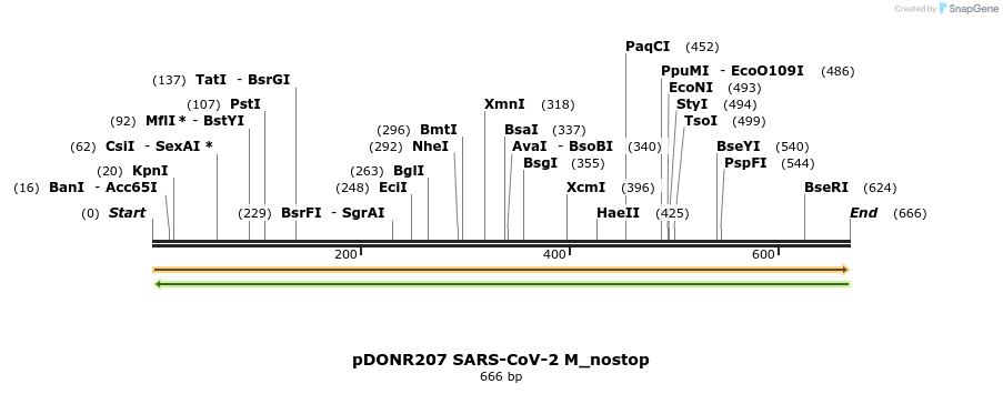 291929_map