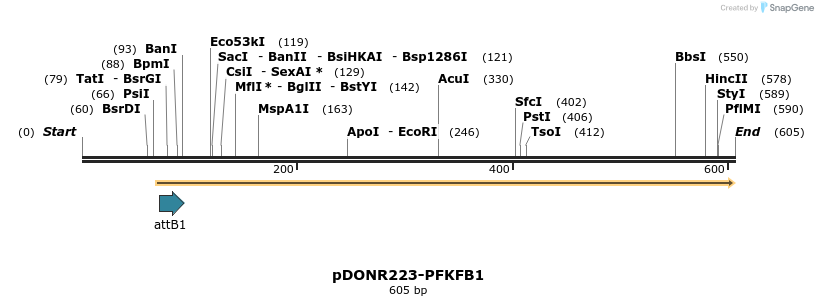 29193_map