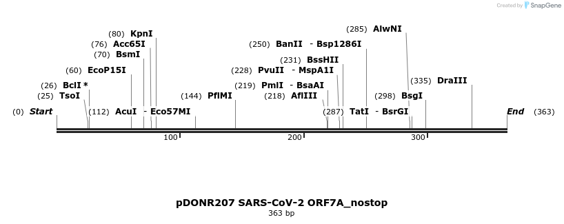 291931_map