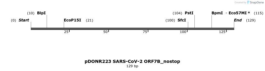 291932_map