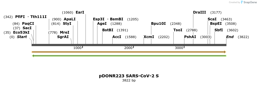 291936_map