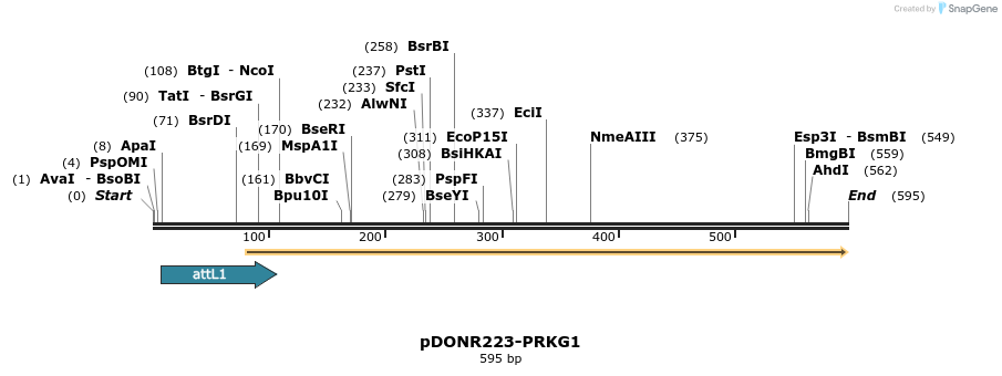 29194_map