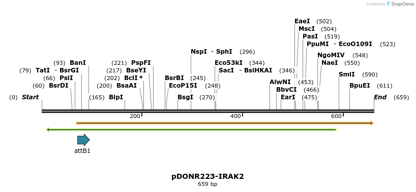 29195_map