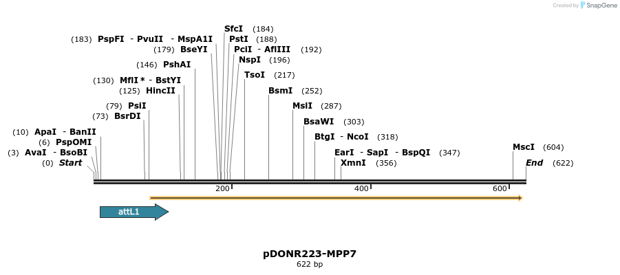 29196_map