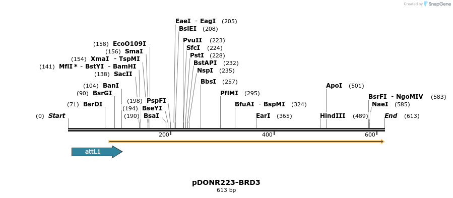 29197_map