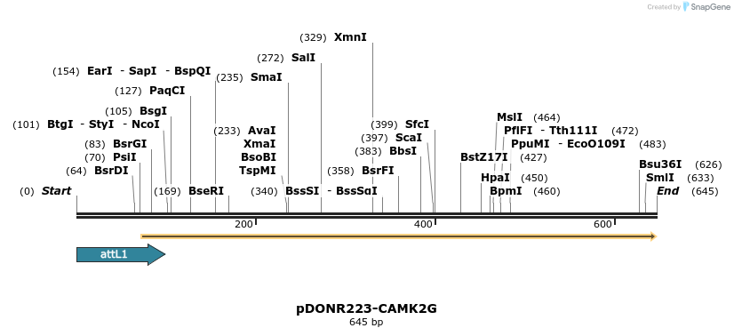 29198_map