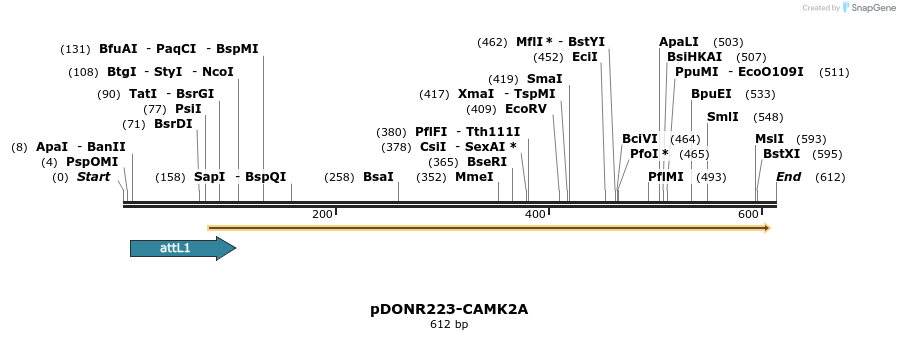 29199_map