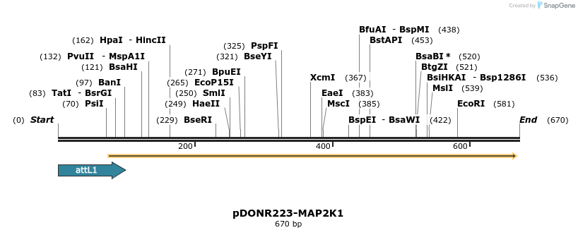 29201_map