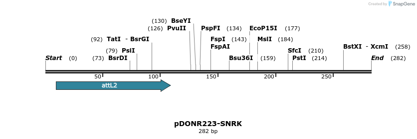 29202_map