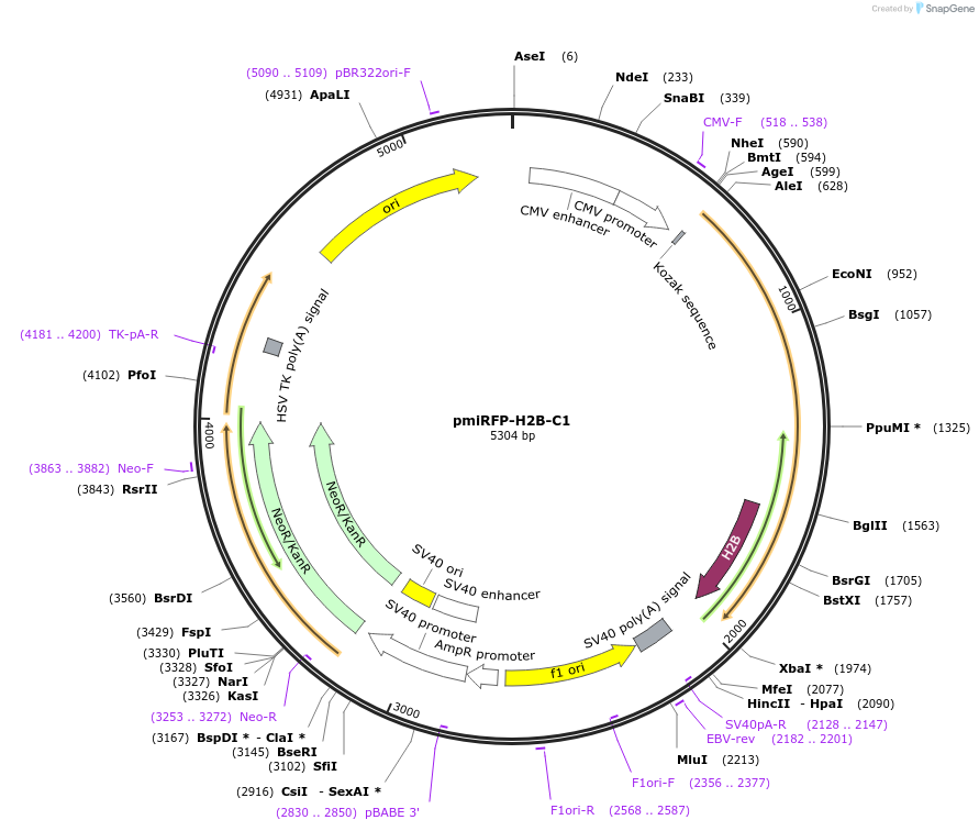 292022_map
