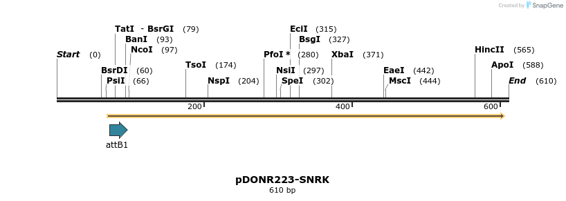 29203_map