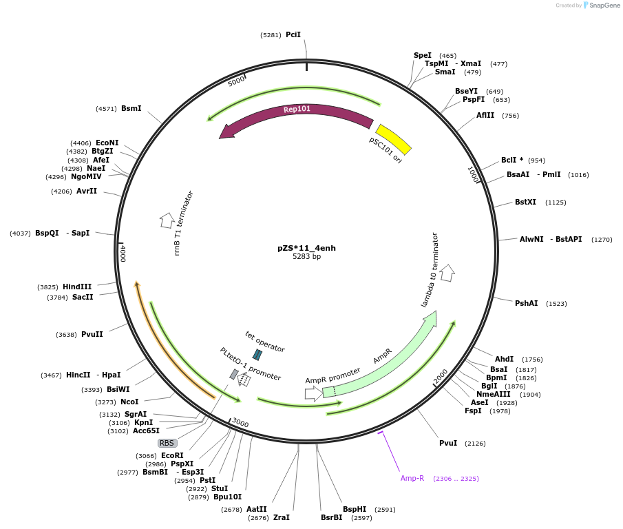 292039_map