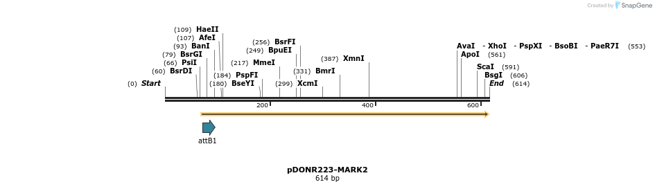 29204_map