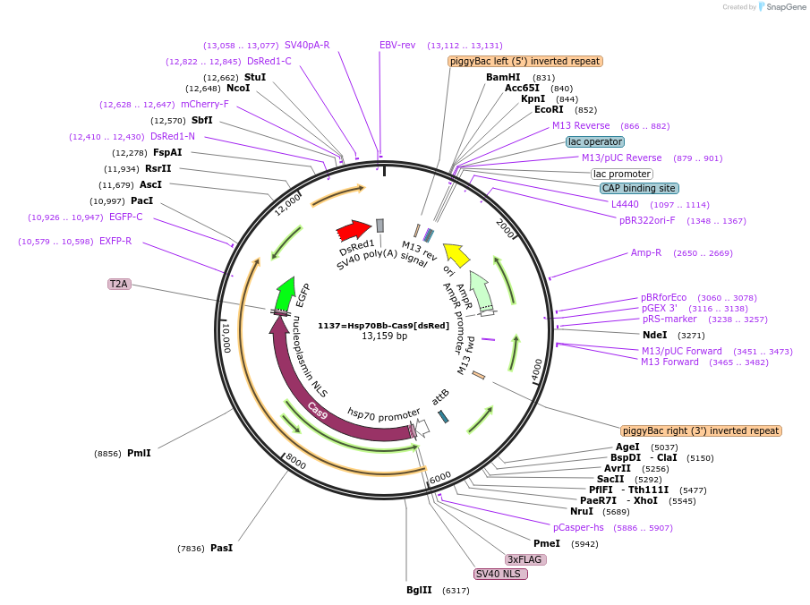 292051_map