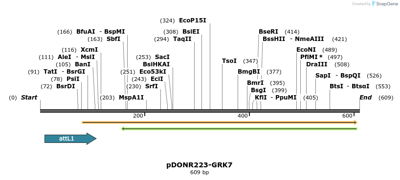 29206_map