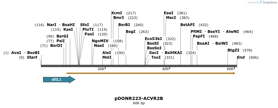 29207_map