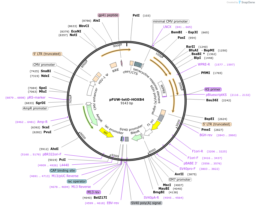 292070_map