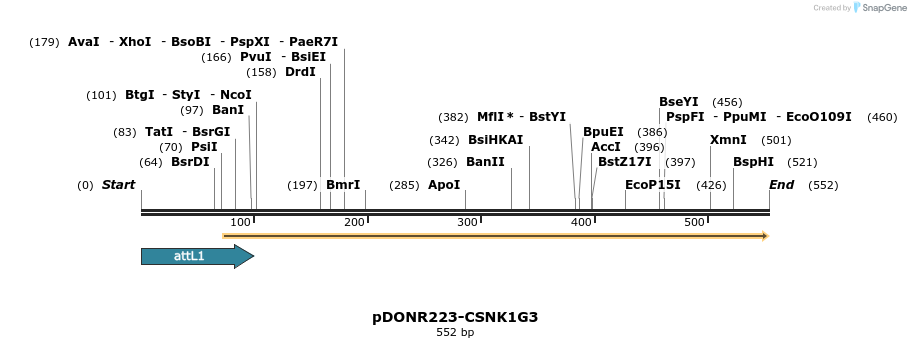 29208_map