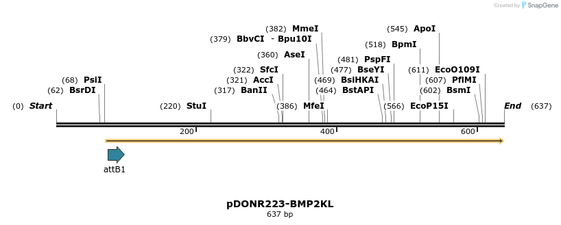 29209_map