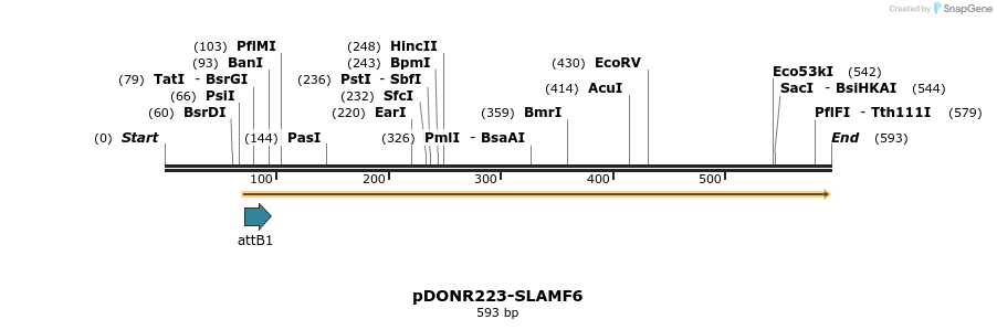 29211_map