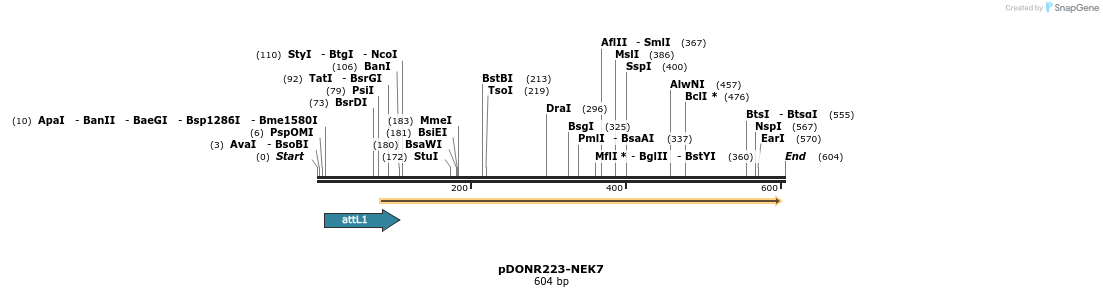 29212_map